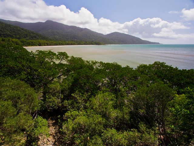 Image of views of rainforest-clad slopes sweeping down to meet the long, sandy beach at Cape Tribulation.