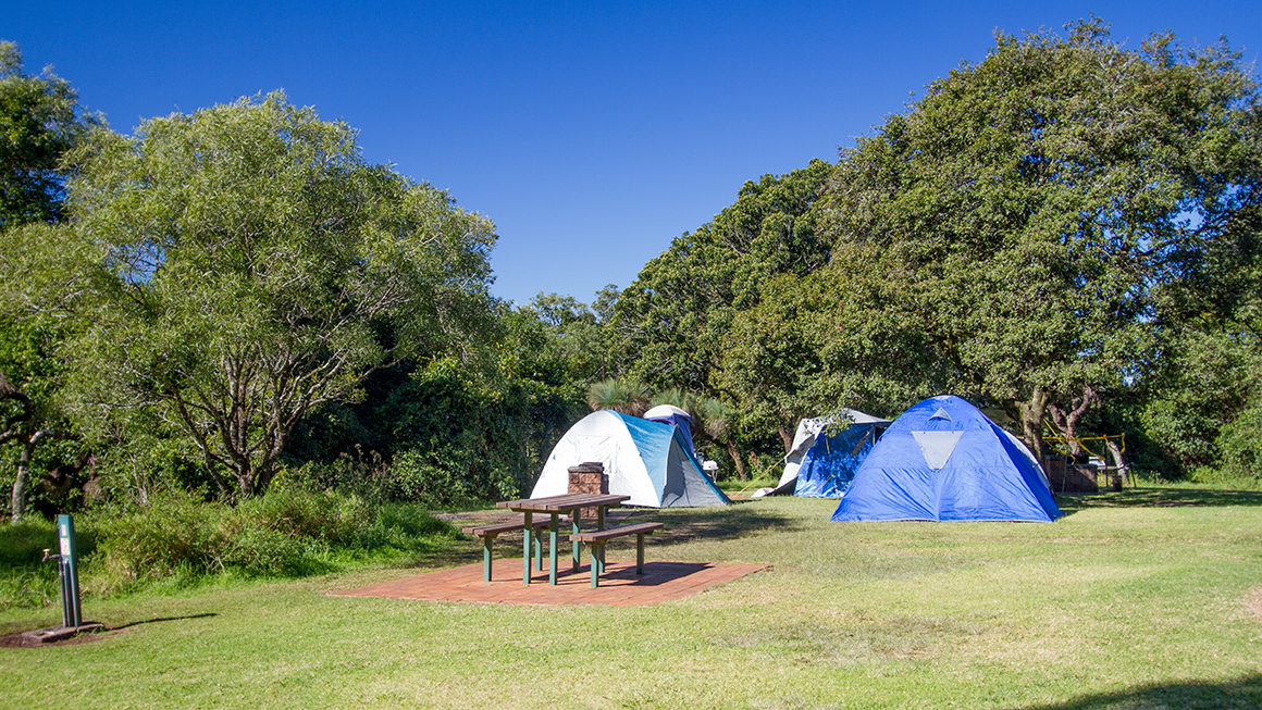 Three blue domed tents sit clustered together in a neatly mown grassy space near a picnic table with a backdrop of forest.