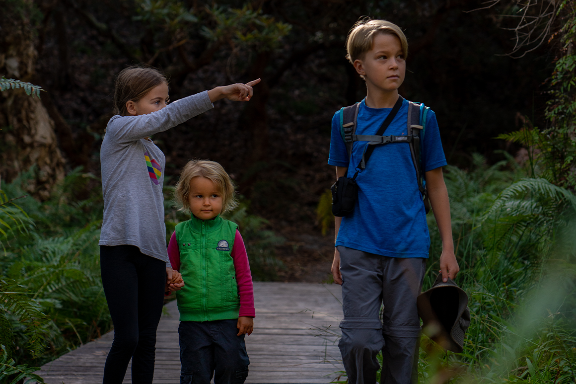 Children walking on boardwalk surrounded by forest.