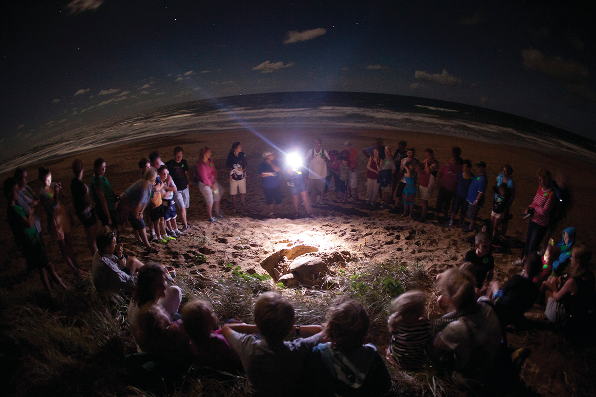 At night a group of people encircle a nesting turtle on the beach illuminated by torchlight held by ranger guide.