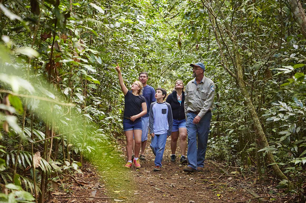 < group of children and adults walk along track through green lush rainforest, pointing and looking around, excitedly