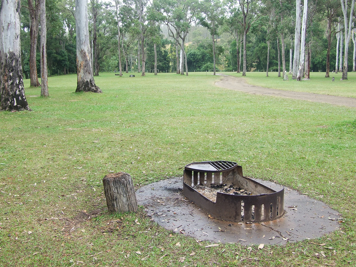 Fire pit sits in a large grassy clearing surrounded by tall eucalypts.