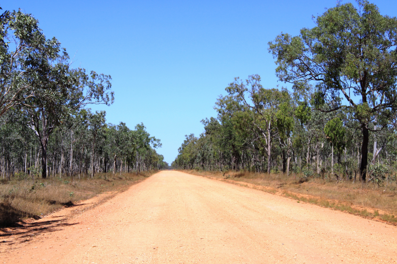 Straight, orange dirt road lined with dry sclerophyll forest.
