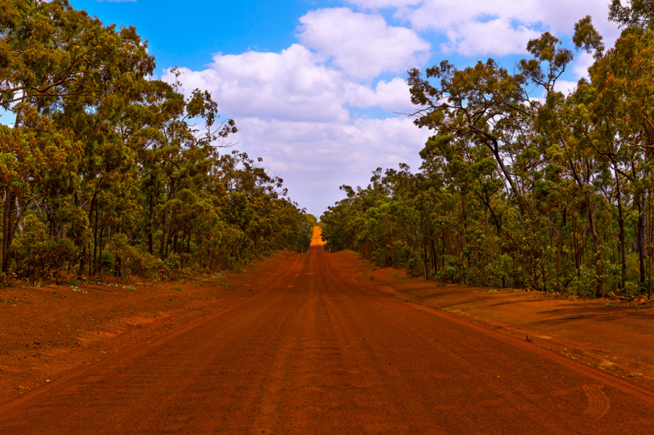 Straight red dirt road lined with dry sclerophyll forest